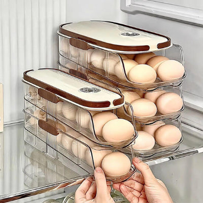 Rangement cuisine PortableEggs frigo deux